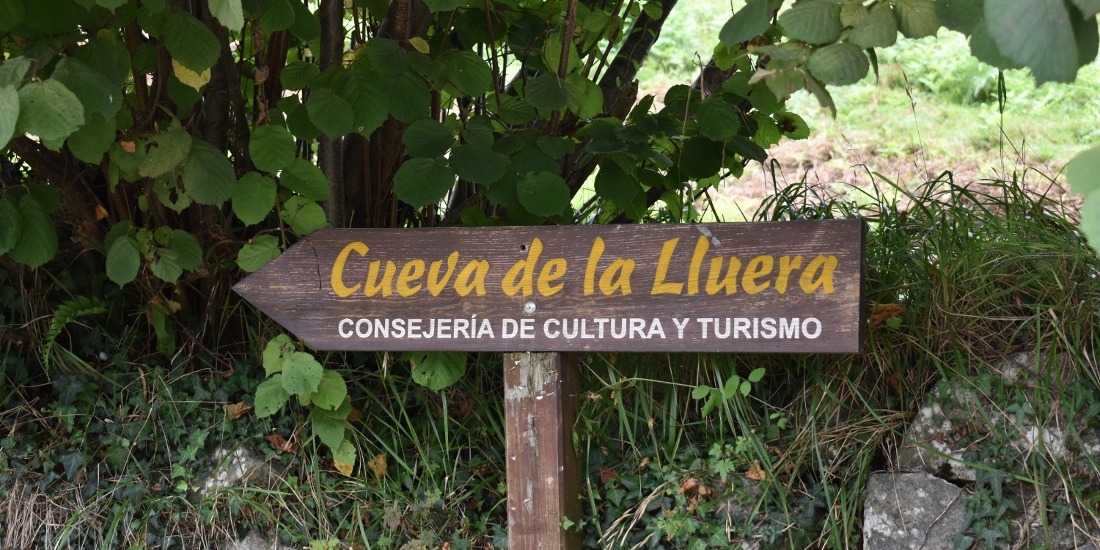 Visita guiada a la cueva Lluera, arte rupestre paleolítico